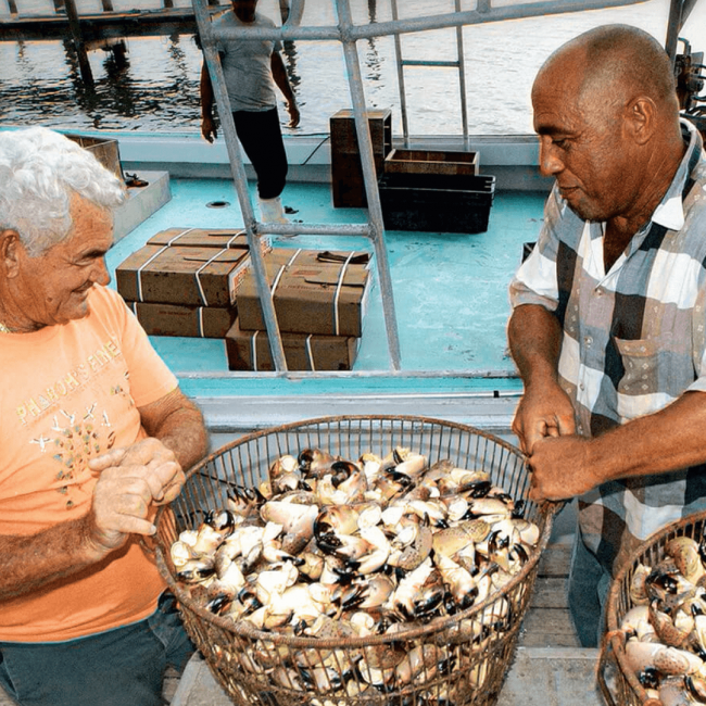 picture of stone crab fishermen holding a basket of fresh stone crab claws