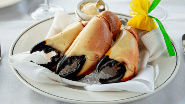 picture of three jumbo fresh Florida stone crab claws