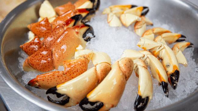 picture of fresh Florida stone crab claws on ice